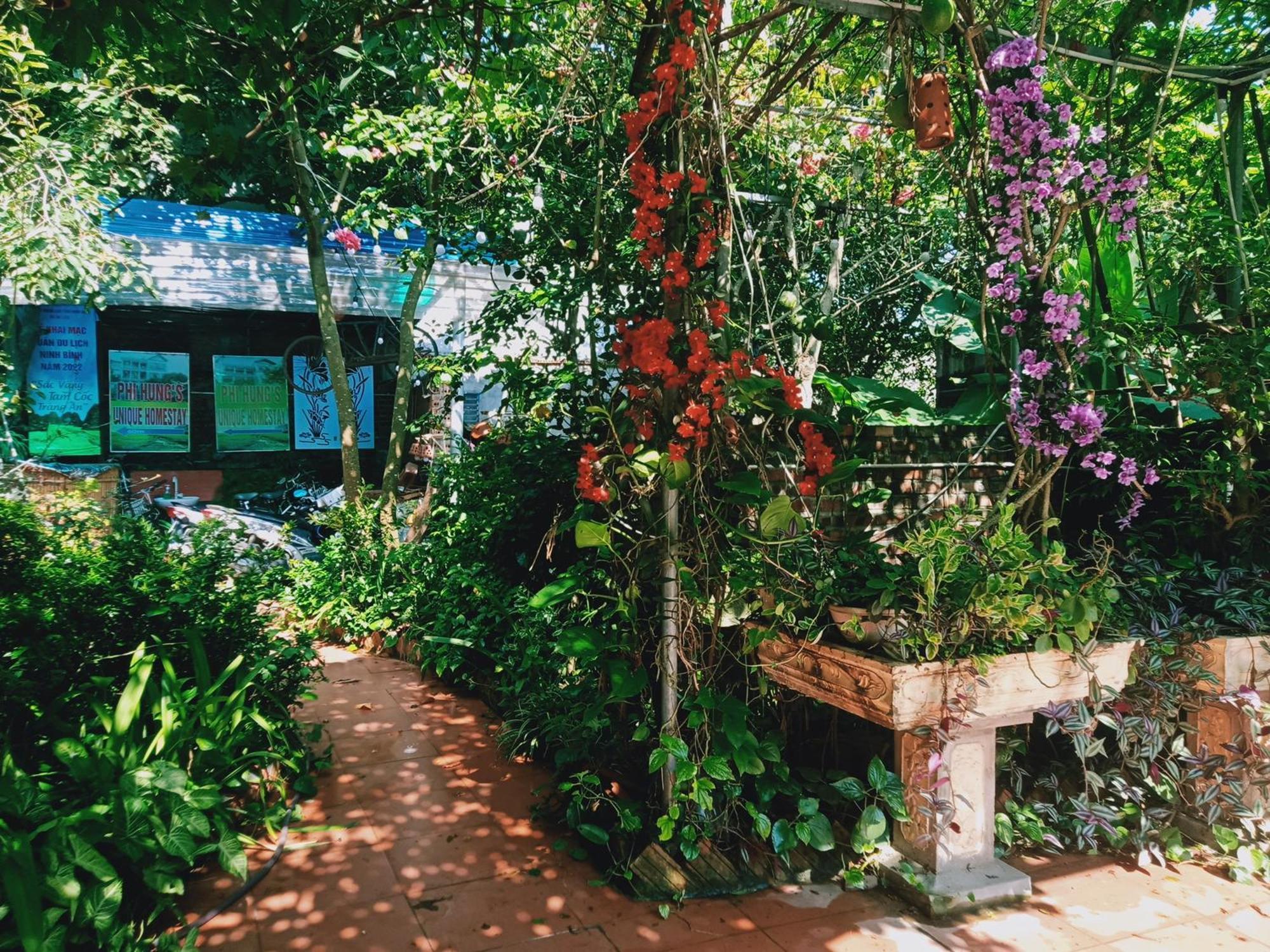 Phi Hung'S Unique Homestay Ниньбинь Номер фото
